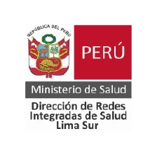 diris lima sur-convenios de practicas Convenio de prácticas con DIRIS Lima Sur