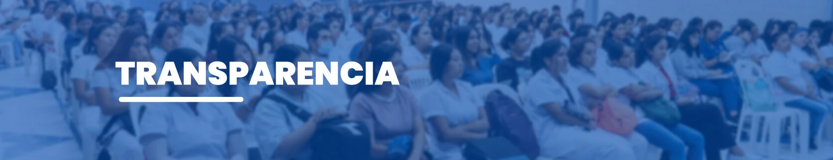 Transparencia del Instituto Arzobispo Loayza